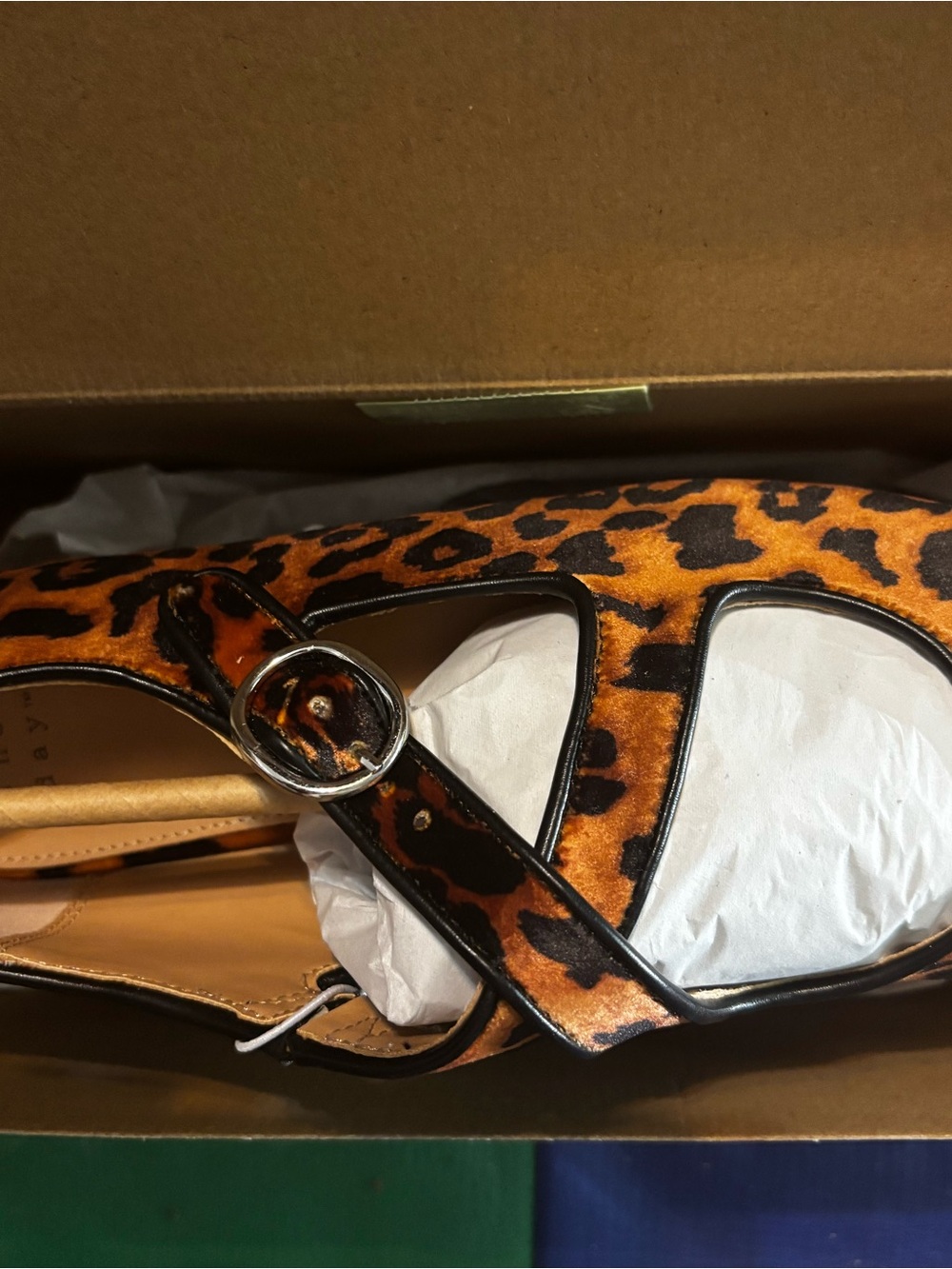 Women's Leopard Print Tamsin Flats - Size 8